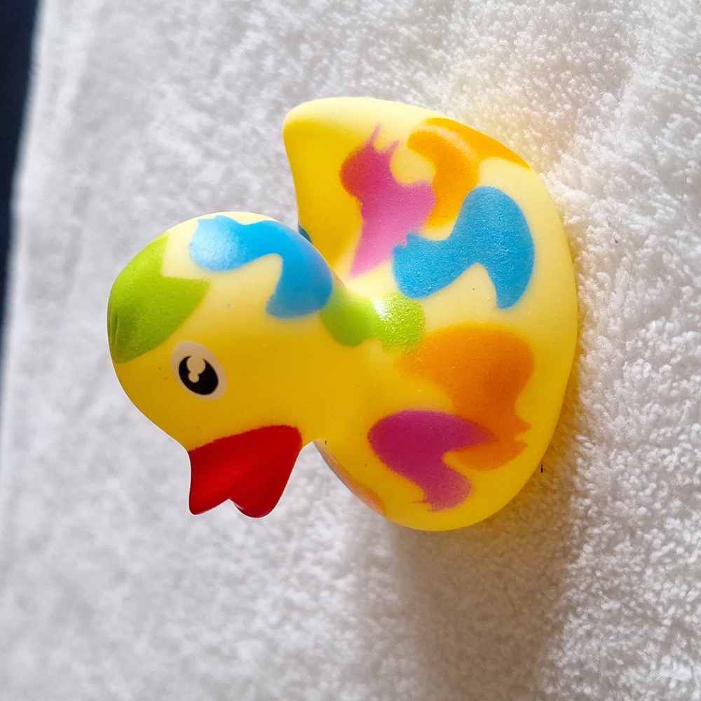 Ducky covered in duckies